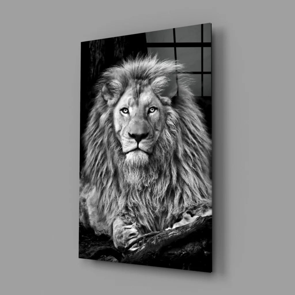 Striking black and white lion glass wall art print