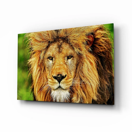 Majestic Lion King close-up portrait on glass wall art