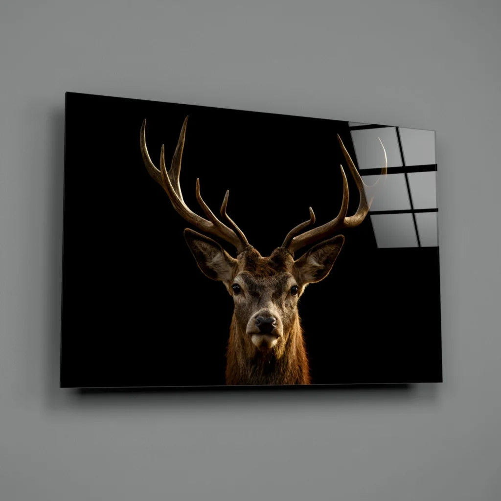 Majestic stag antlers close-up canvas wall art on black background