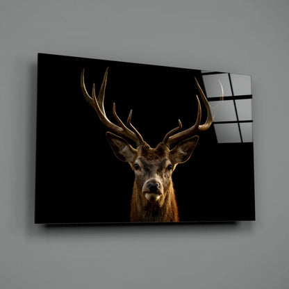 Majestic stag antlers close-up canvas wall art on black background