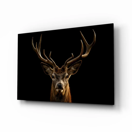 Majestic stag with antlers canvas wall art on black background