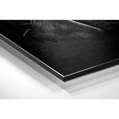 Stunning Brushed Aluminium Dibond Wall Art Collection | Glass Wall Art Print | vintageantiquesgifts.com