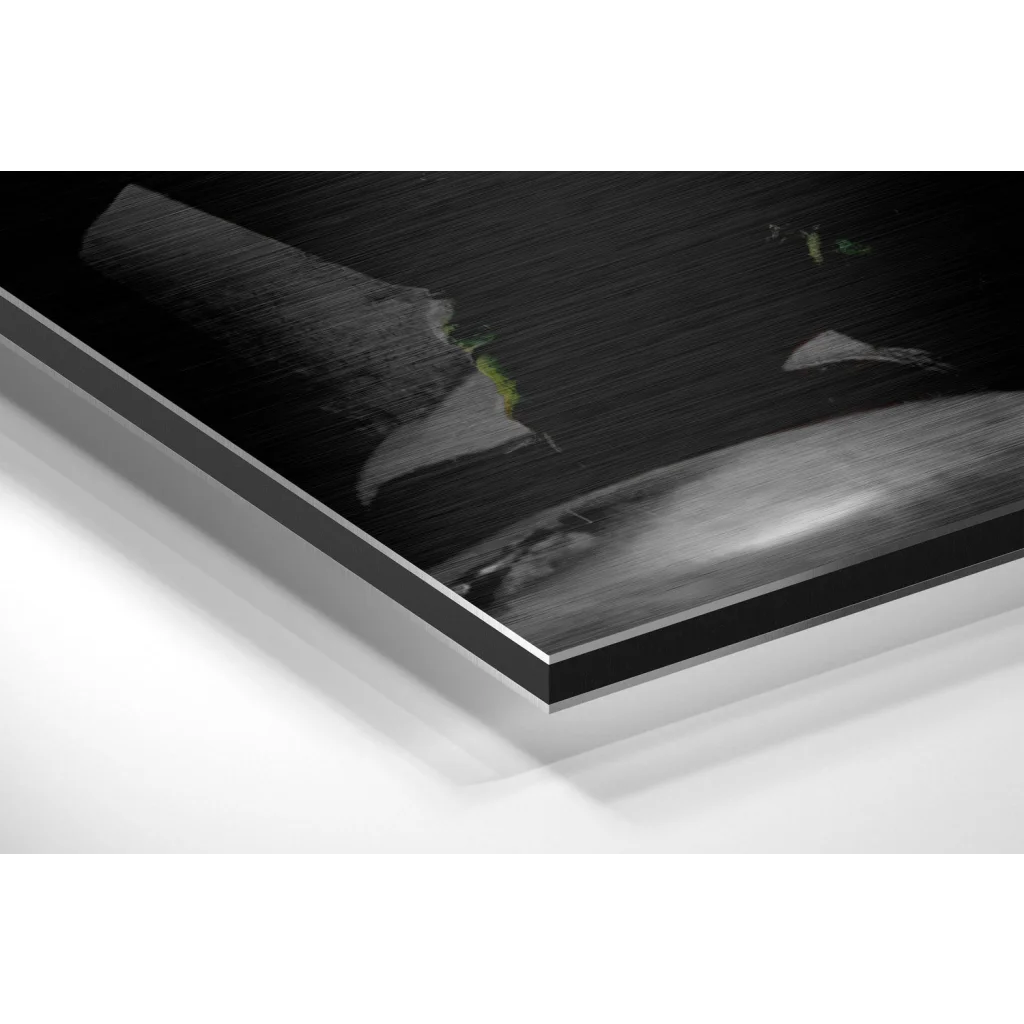 Stunning Brushed Aluminium Dibond Art Print Revolution | Glass Wall Art Print | vintageantiquesgifts.com