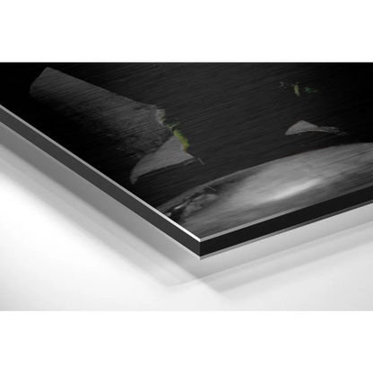 Stunning Brushed Aluminium Dibond Art Print Revolution | Glass Wall Art Print | vintageantiquesgifts.com