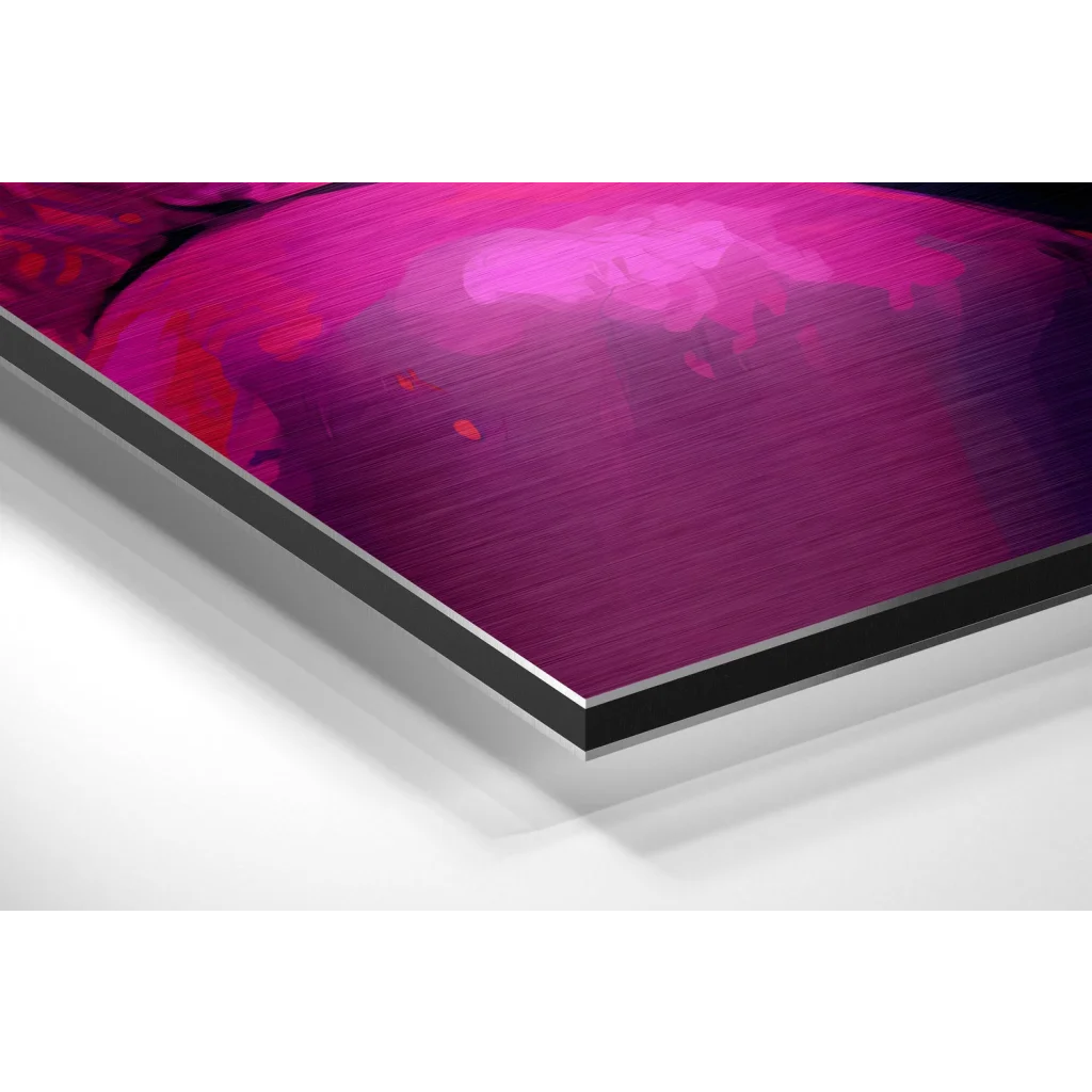 Vibrant magenta pop art print on brushed aluminium dibond in sleek black frame