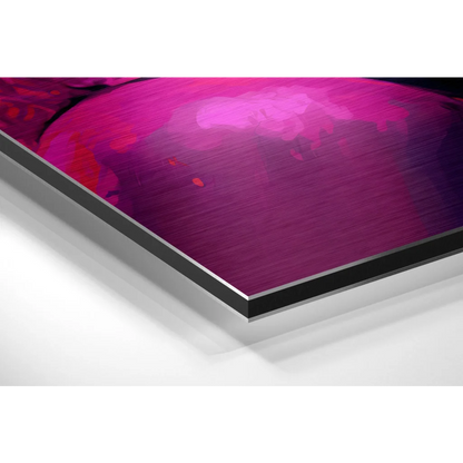 Stunning Brushed Aluminium Dibond Pop Art Wall Print | Glass Wall Art Print | vintageantiquesgifts.com