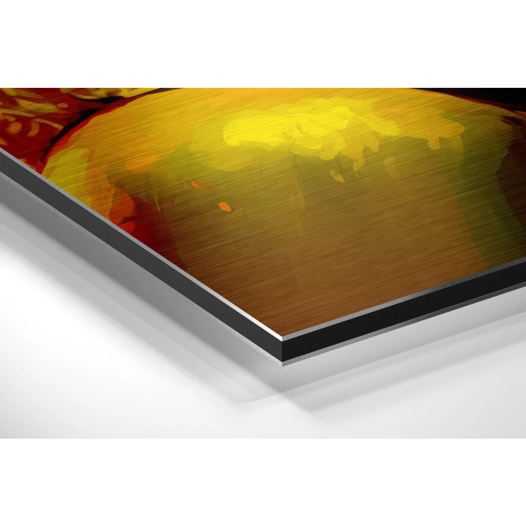 Vibrant brushed aluminium dibond print in gold and red hues, black frame
