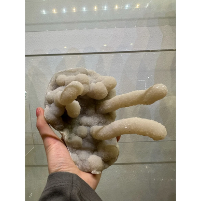 Hand holding medium chalcedony stalactite geode from India