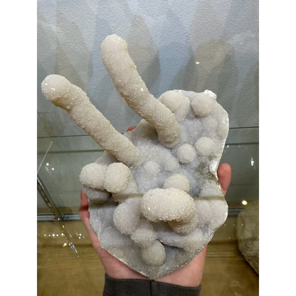 Medium chalcedony stalactite hand geode with white crystal fingers from India