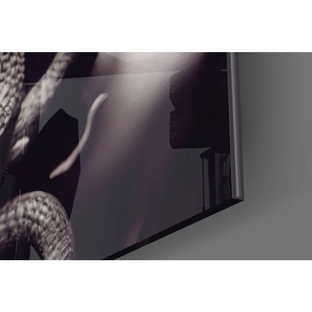 Sleek Medusa serpent glass wall art black and white canvas print