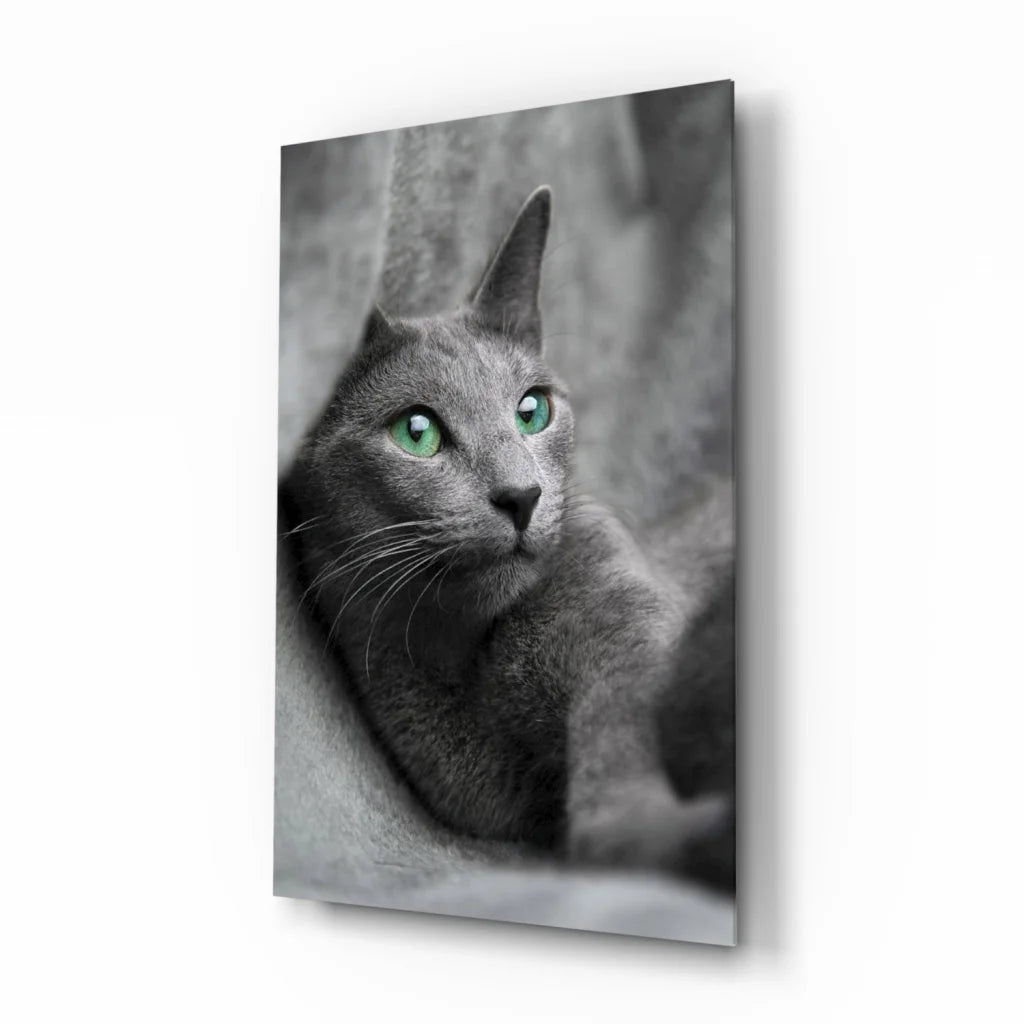 Mesmerizing green eyed gray cat glass wall art portrait in black-and-white print