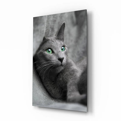 Mesmerizing green eyed gray cat glass wall art portrait in black-and-white print