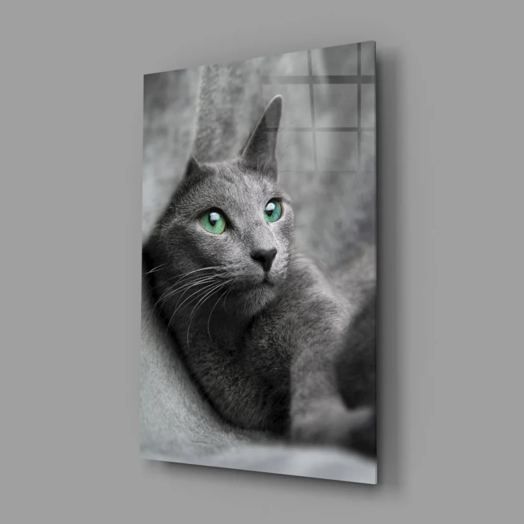 Gray cat with green eyes in black-and-white glass wall art print