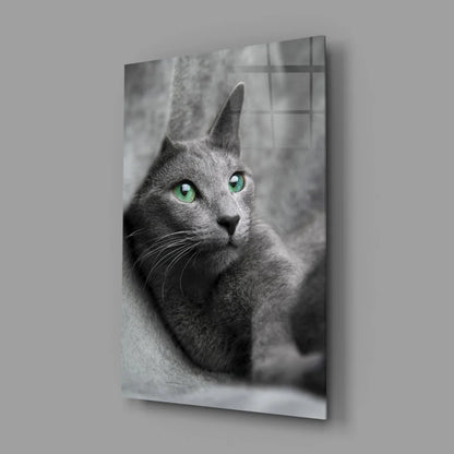 Gray cat with green eyes in black-and-white glass wall art print