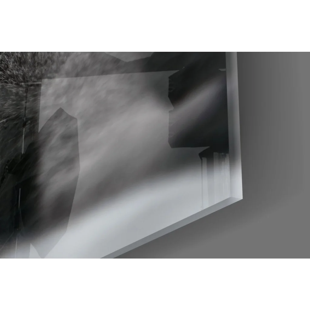 Mesmerizing green eyed gray cat in sleek black-and-white geometric glass wall art