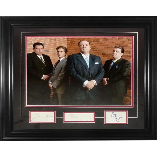 Autographed deluxe framed 16x20 photo of Michael Imperioli, Steve Schirripa, Steven Van Zandt and James Gandolfini from The Sopranos