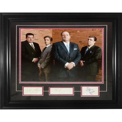Autographed deluxe framed 16x20 photo of Michael Imperioli, Steve Schirripa, Steven Van Zandt and James Gandolfini from The Sopranos