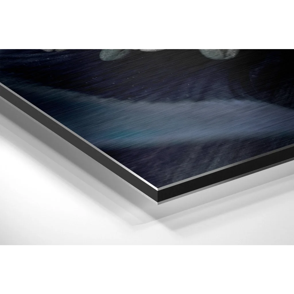 Revolutionary Brushed Aluminium Dibond Wall Art Prints | Glass Wall Art Print | vintageantiquesgifts.com