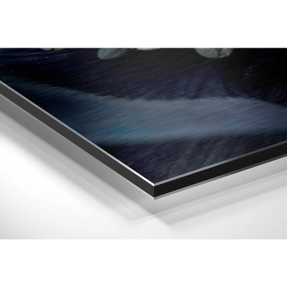 Revolutionary Brushed Aluminium Dibond Wall Art Prints | Glass Wall Art Print | vintageantiquesgifts.com
