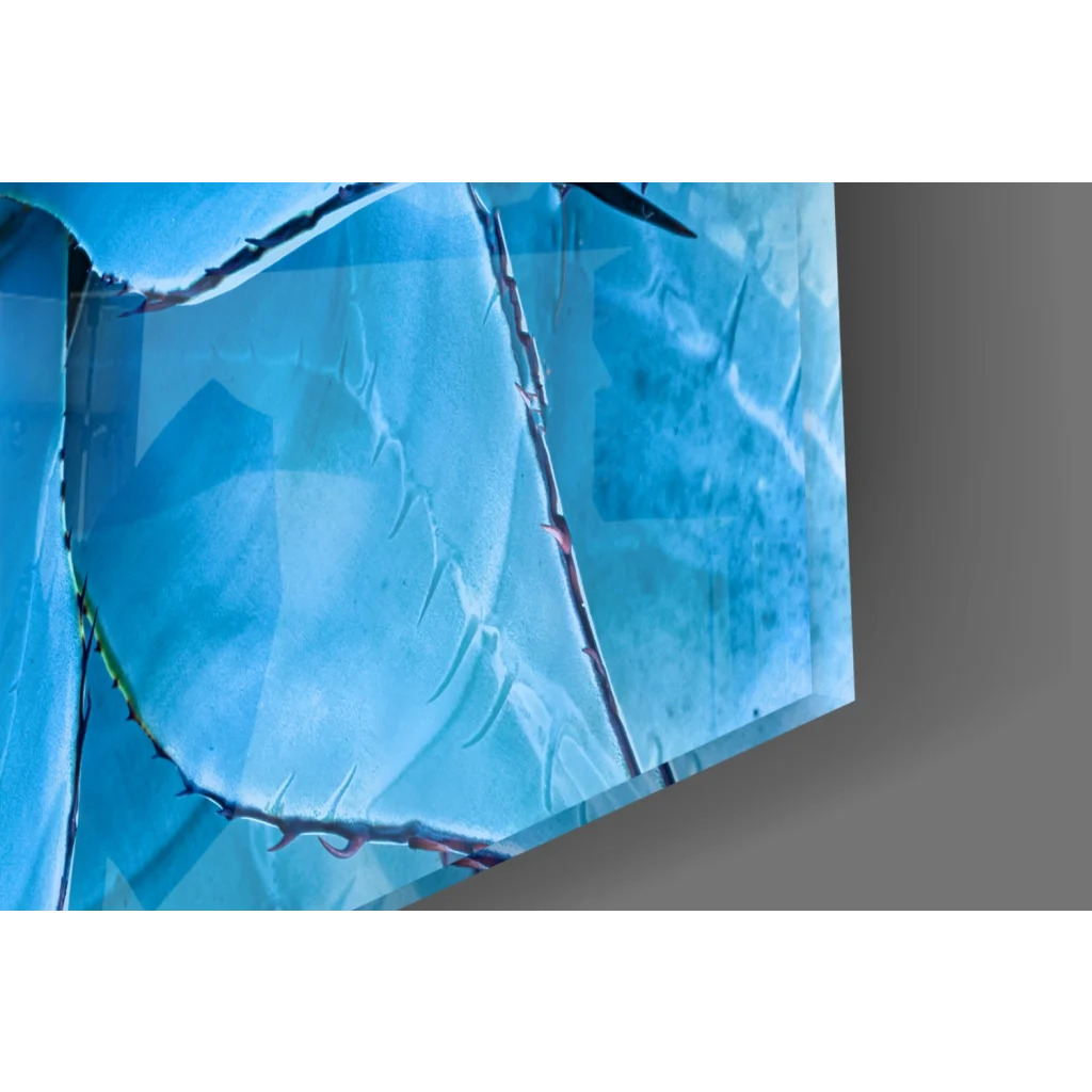 Stunning blue agave glass wall art with spiky leaves on acrylic panel