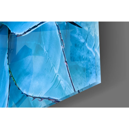 Stunning blue agave glass wall art with spiky leaves on acrylic panel