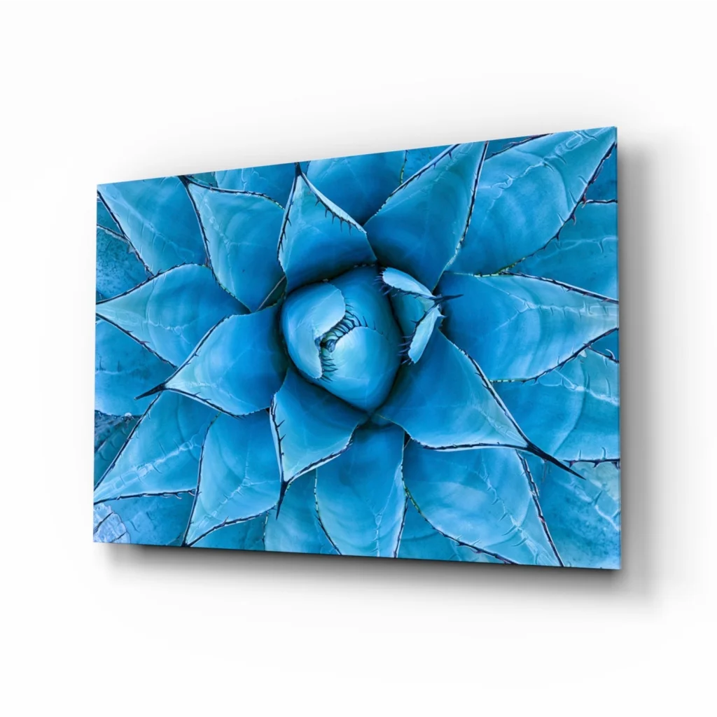 Stunning blue agave glass wall art print on canvas