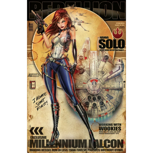 Millennium Falcon 2018 brushed aluminum Star Wars print with detailed design