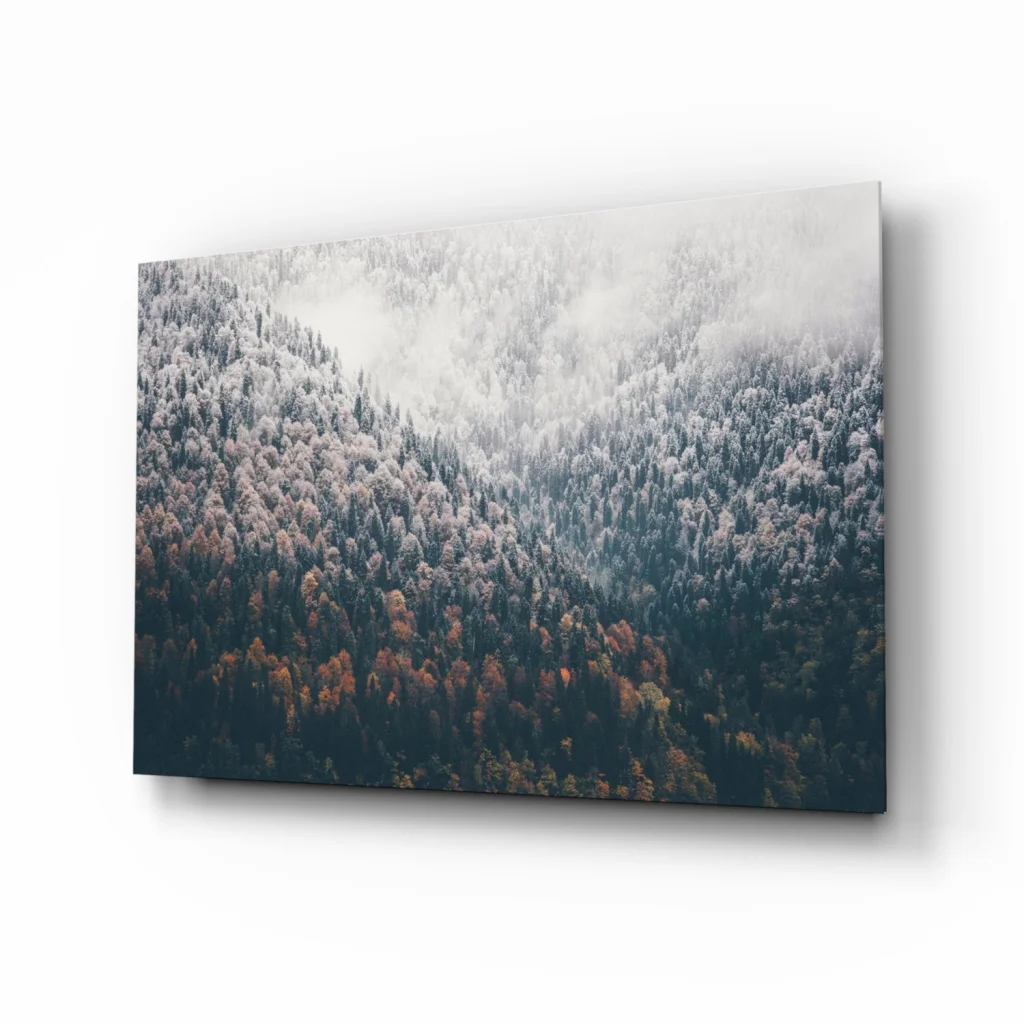 Snow-dusted forest in misty mountain glass wall art print