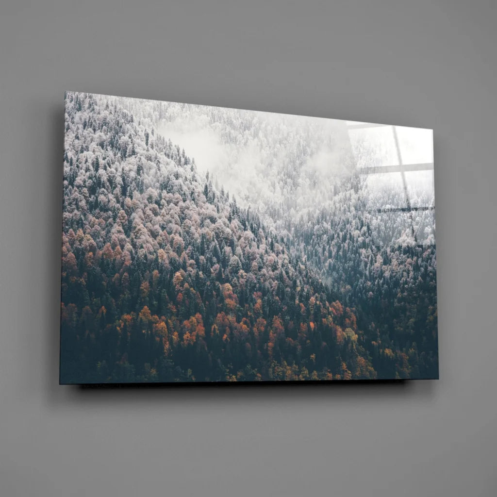 Snow-dusted forest on glossy glass wall art panel