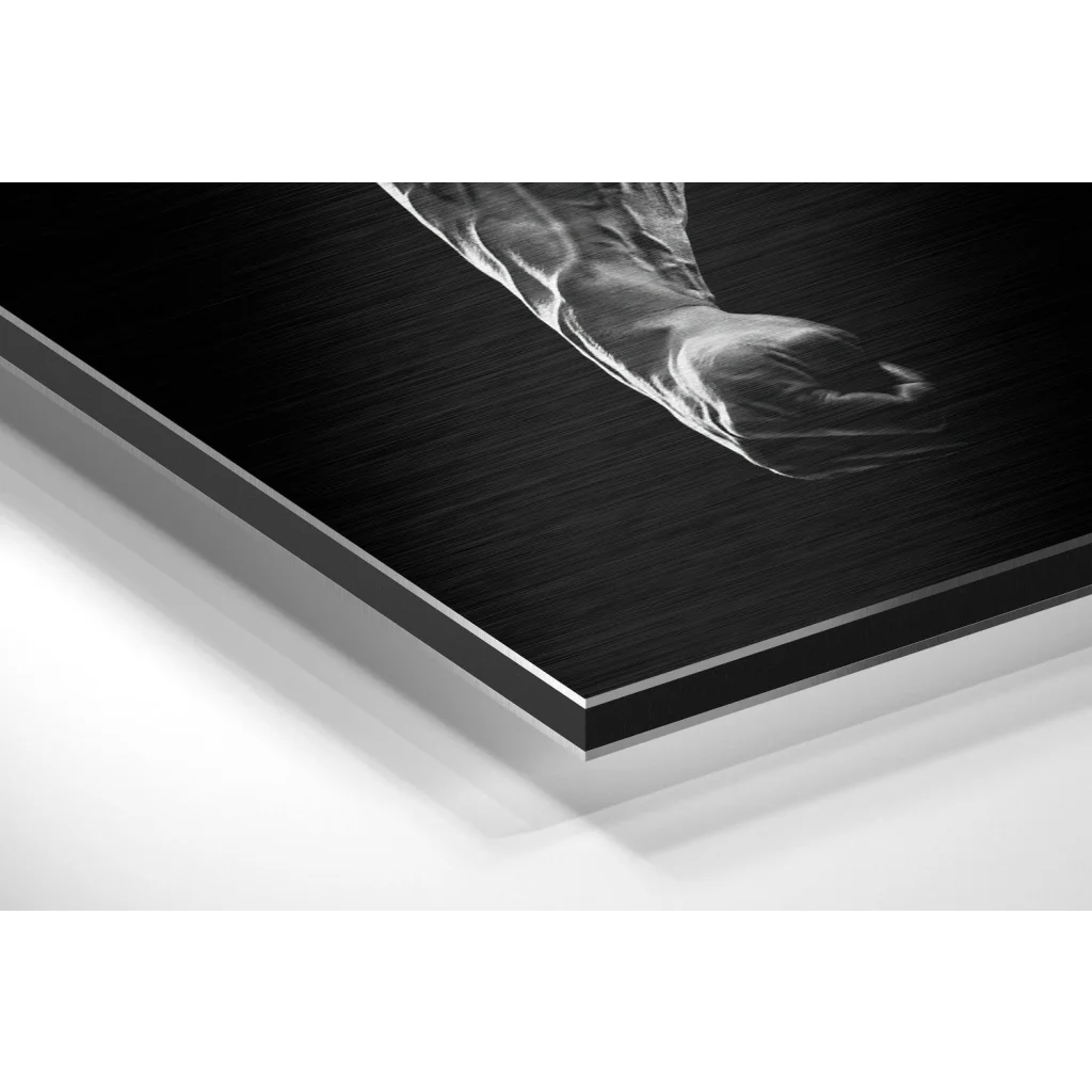 Glass Wall Art No More Excuses Brushed Aluminium Dibond Wall Art