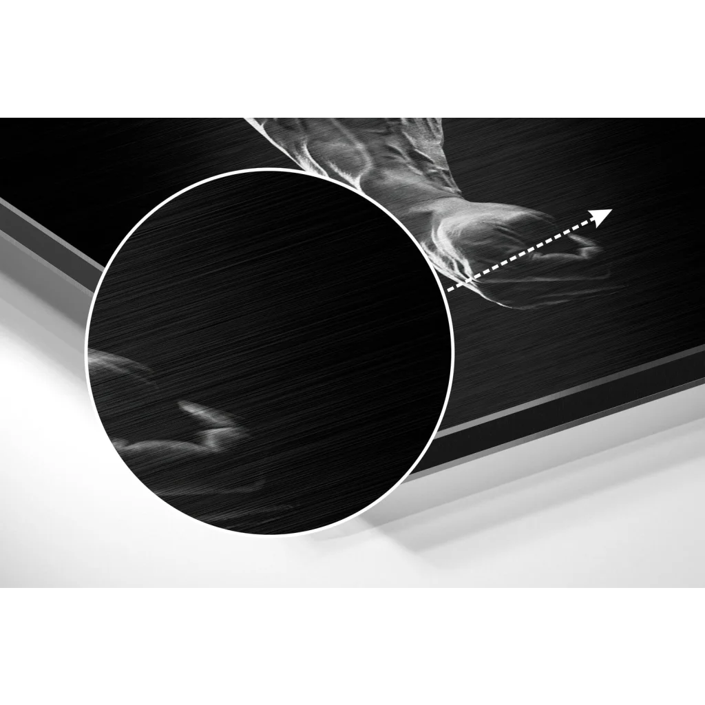 glass wall art No More Excuses Brushed Aluminium Dibond Wall Art