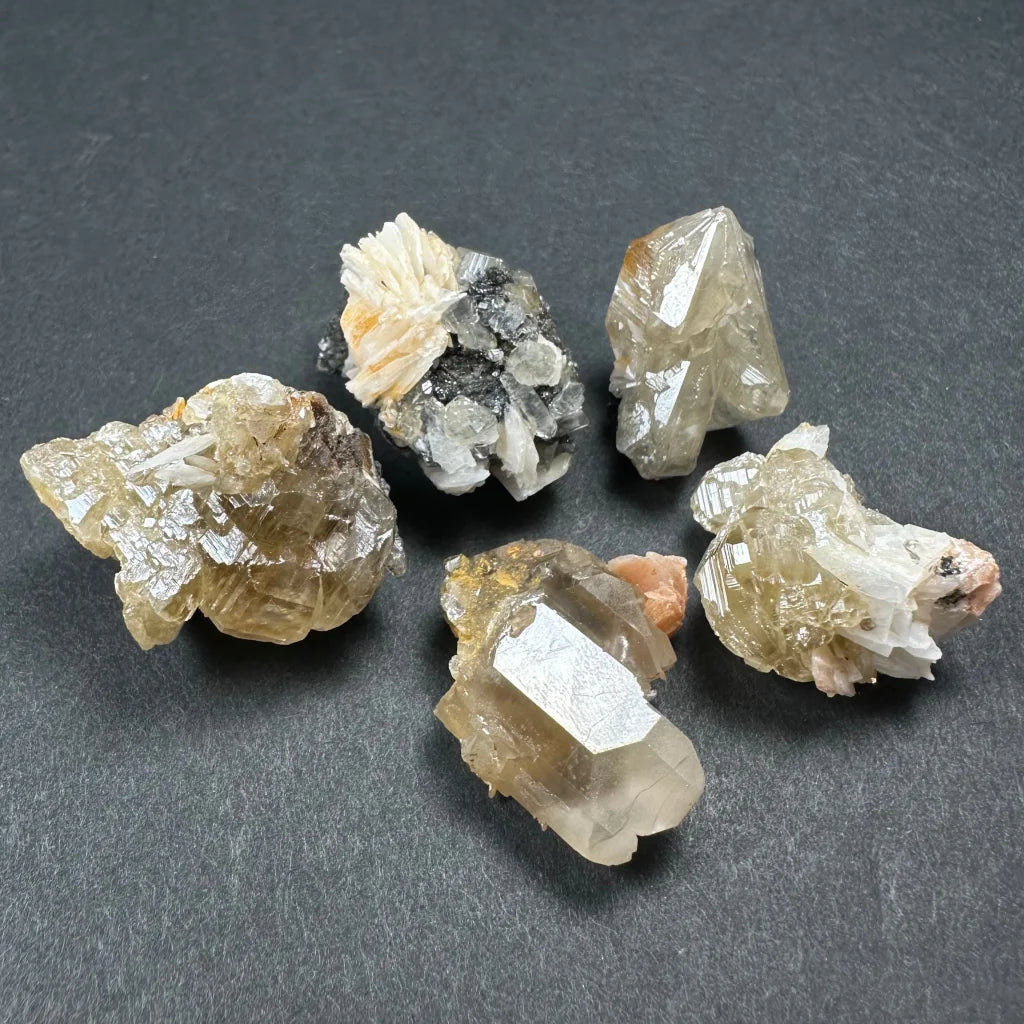 Five amber thumbnail specimens with quartz in acrylic box