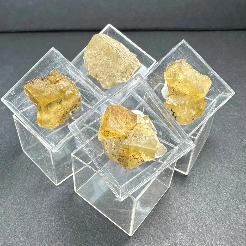 Yellowish translucent thumbnail specimens in acrylic box holders