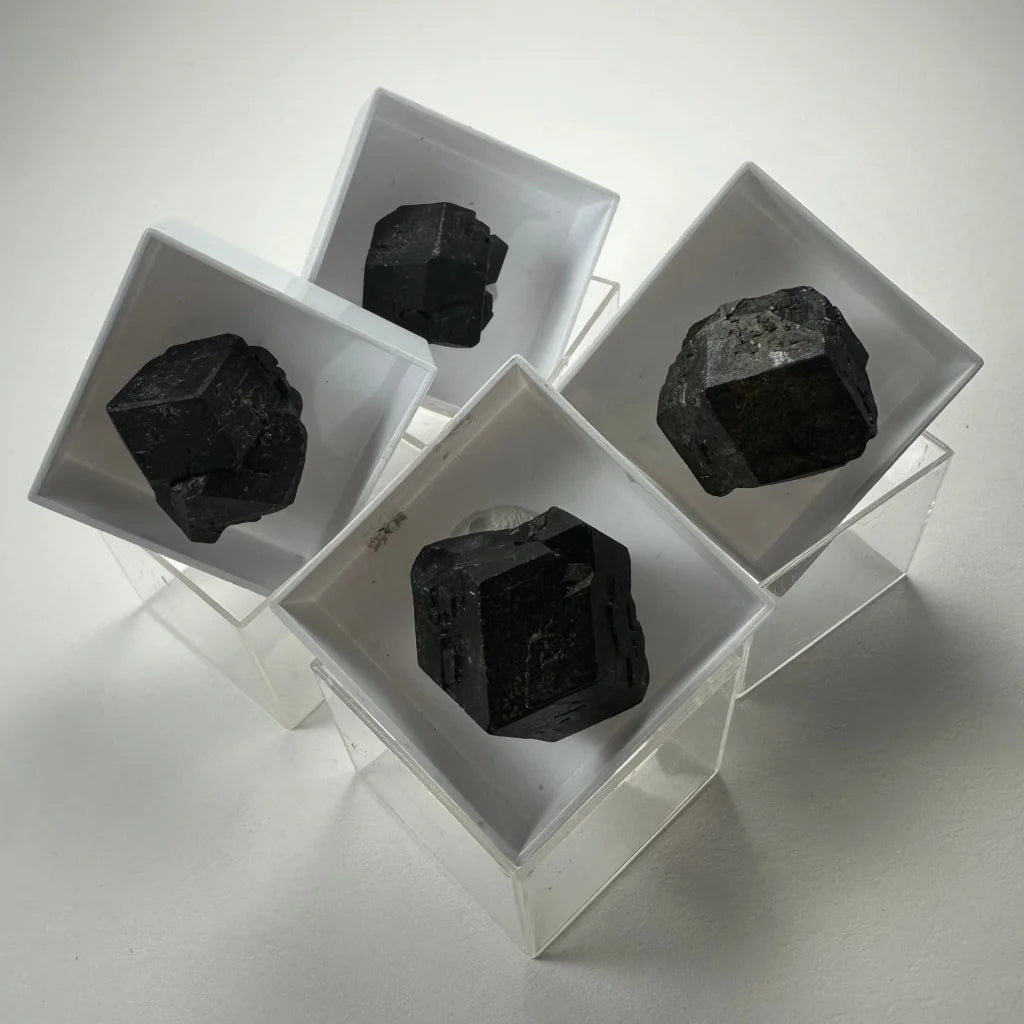 Black faceted tourmaline thumbnail specimens in acrylic box