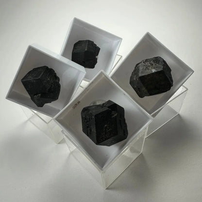 Black faceted tourmaline thumbnail specimens in acrylic box