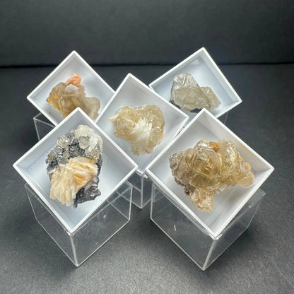 Five Moroccan thumbnail specimens in acrylic box displays