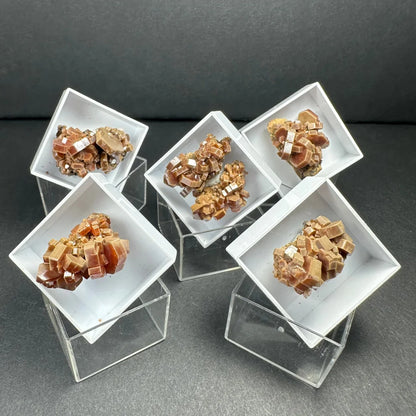 Moroccan thumbnail specimens of coppery faceted crystals in acrylic box