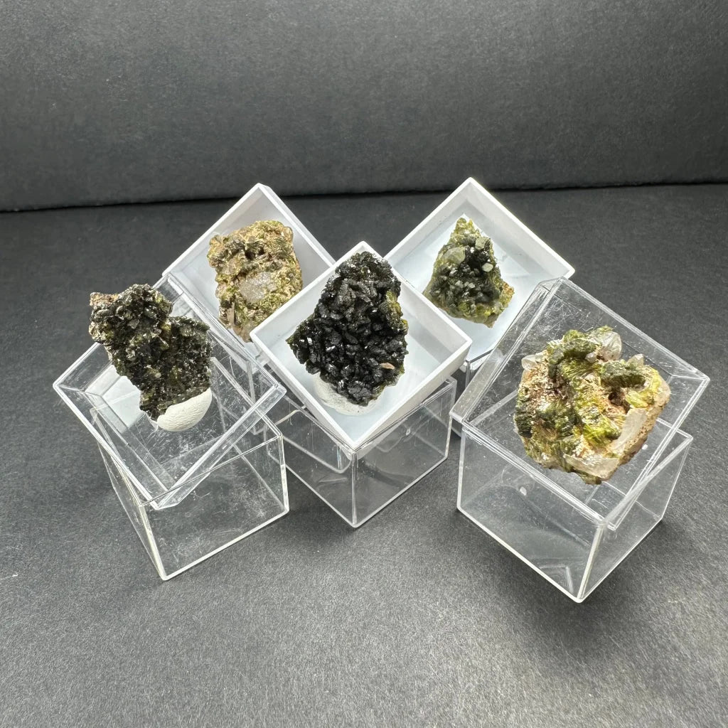 Five Moroccan thumbnail specimens in acrylic boxes