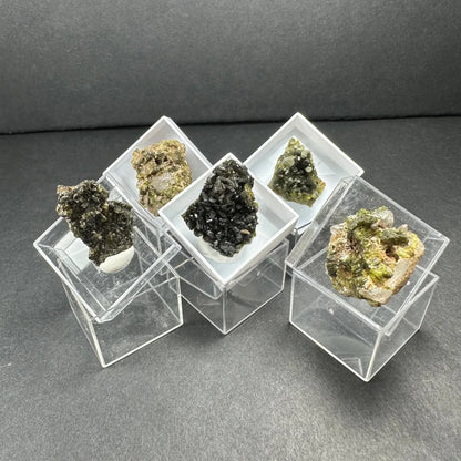Five Moroccan thumbnail specimens in acrylic boxes