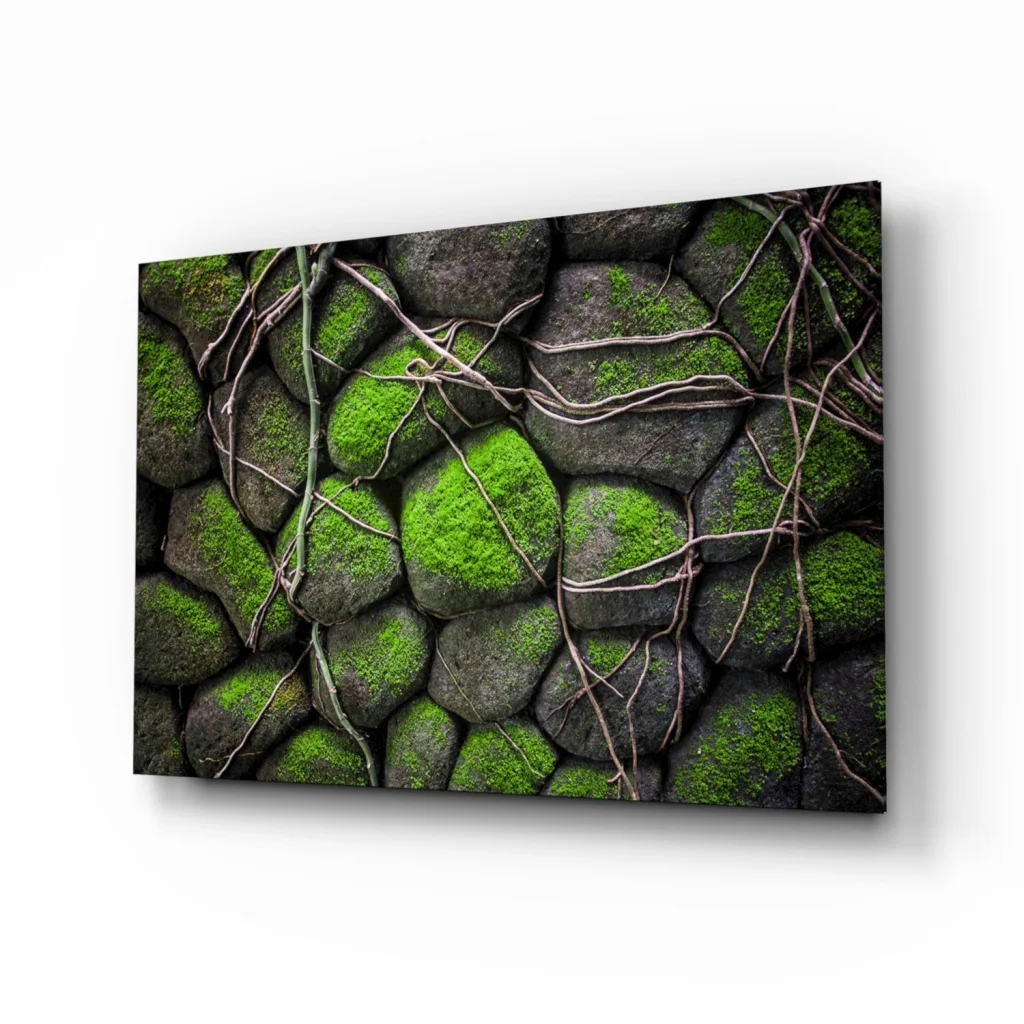 Mossy stone glass wall art: close-up of gray rocks with green moss and vines