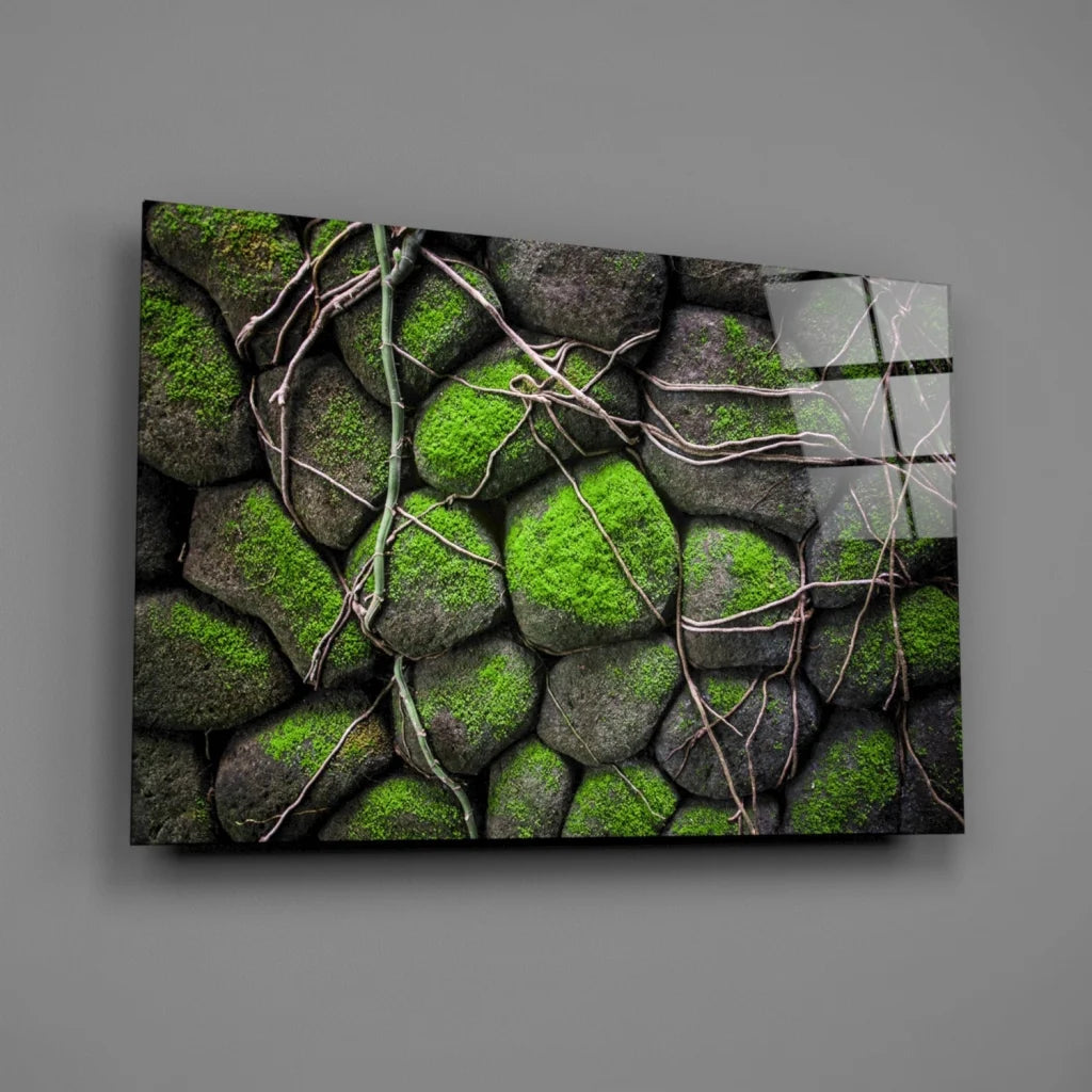 Mossy stone glass wall art print with green moss and vines