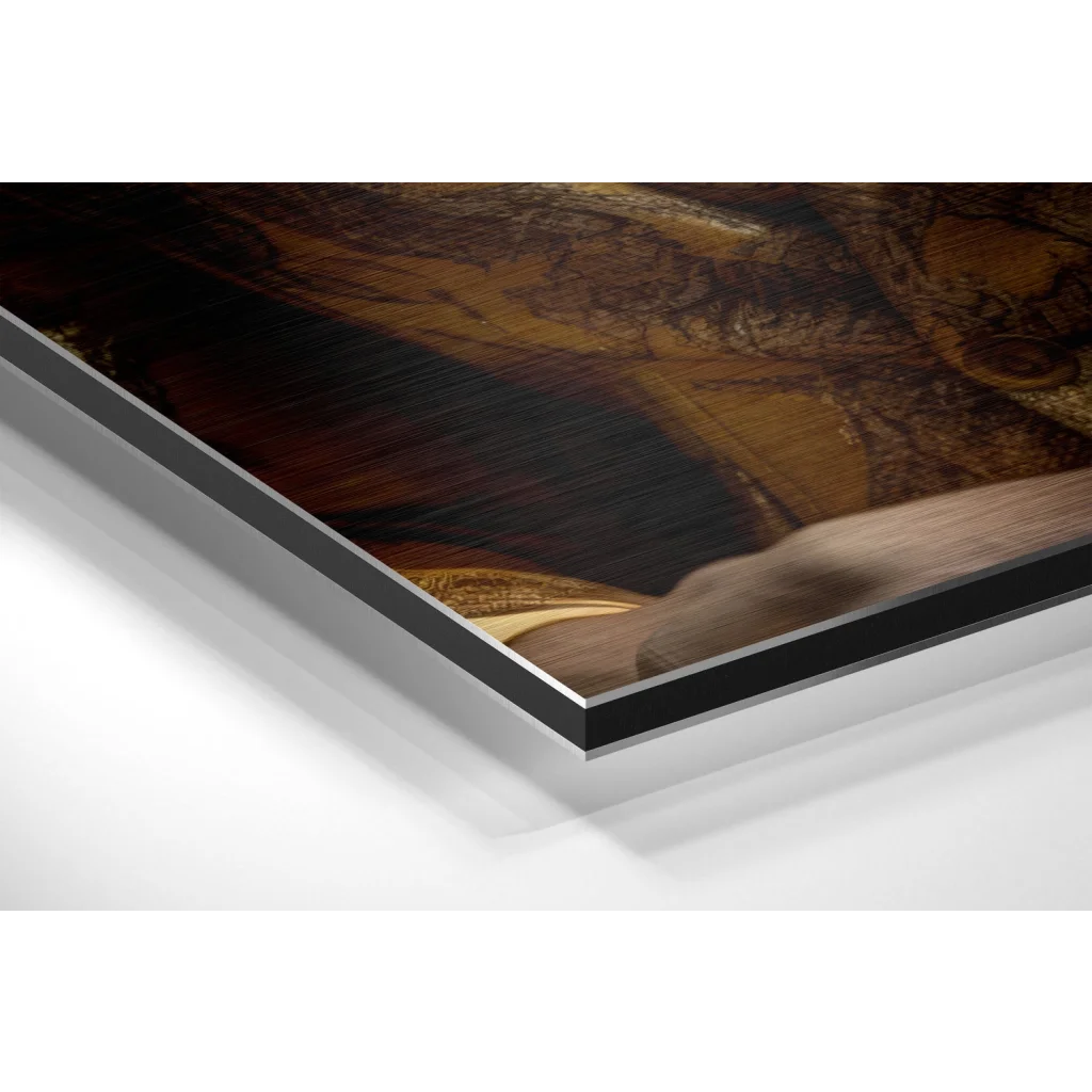 Stunning brushed aluminium dibond lion portrait in brown gold tones