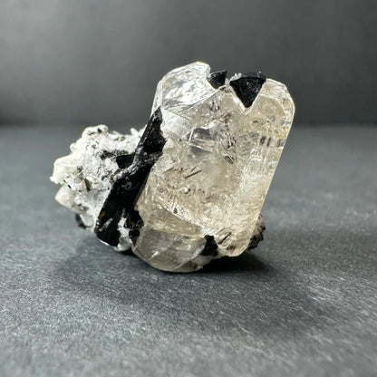 Natural black tourmaline quartz crystal from San Isabel National Forest