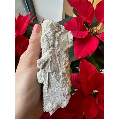 Hand holding natural quartz crystal on elmwood calcite rock specimen
