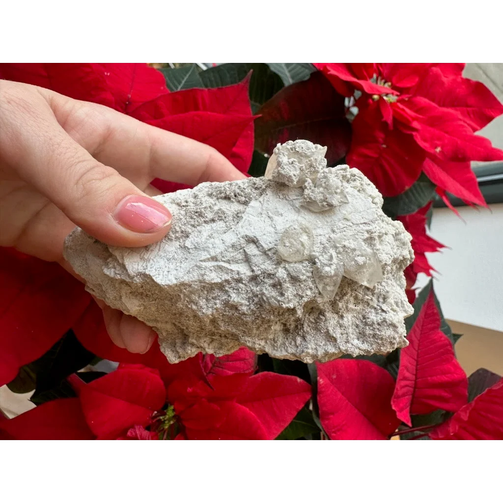 Rough light gray Elmwood calcite rock with embedded clear quartz crystals