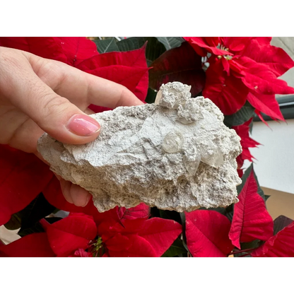 Rough light gray Elmwood calcite rock with embedded clear quartz crystals