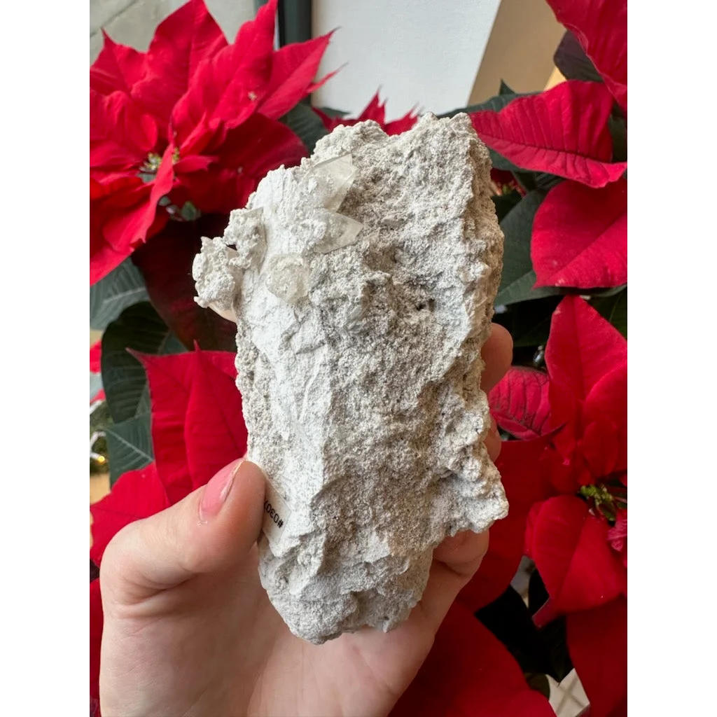 Hand holding natural elmwood calcite rock with quartz crystals