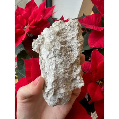 Hand holding natural elmwood calcite rock with quartz crystals