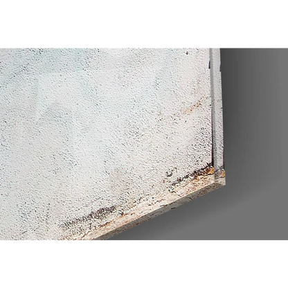 Banksy Evolution Ape black white wall art print with weathered rusty metal panel