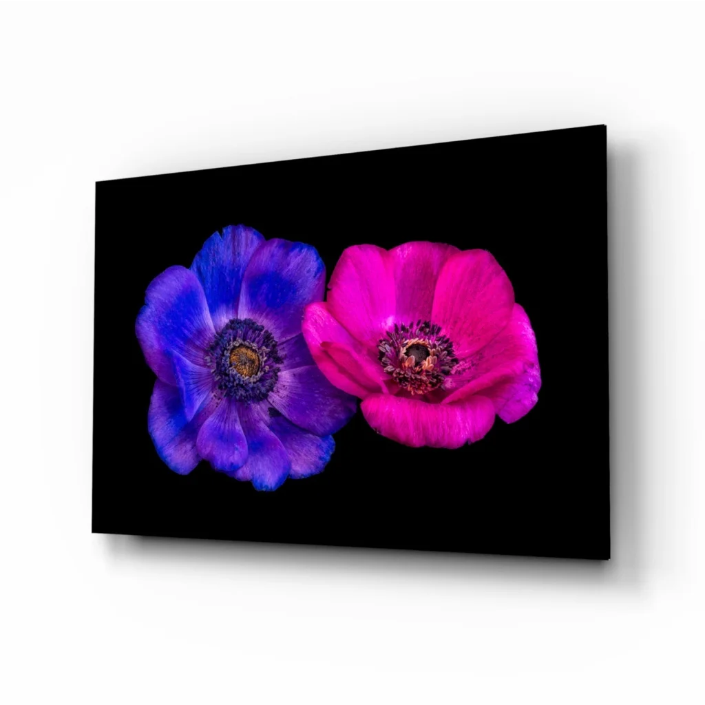 Vibrant neon blue pink poppy glass wall art print on canvas